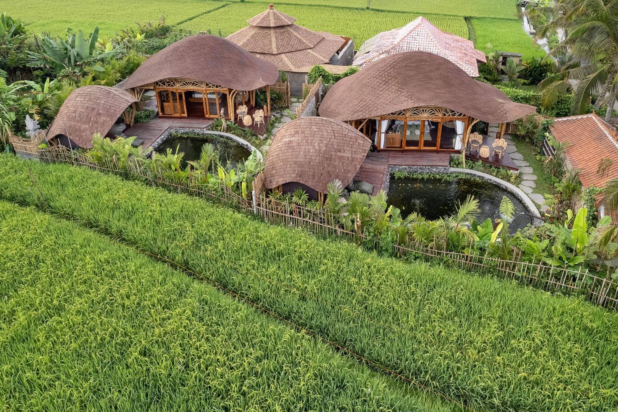 Arapan Ubud Eco Villa Bagian luar foto