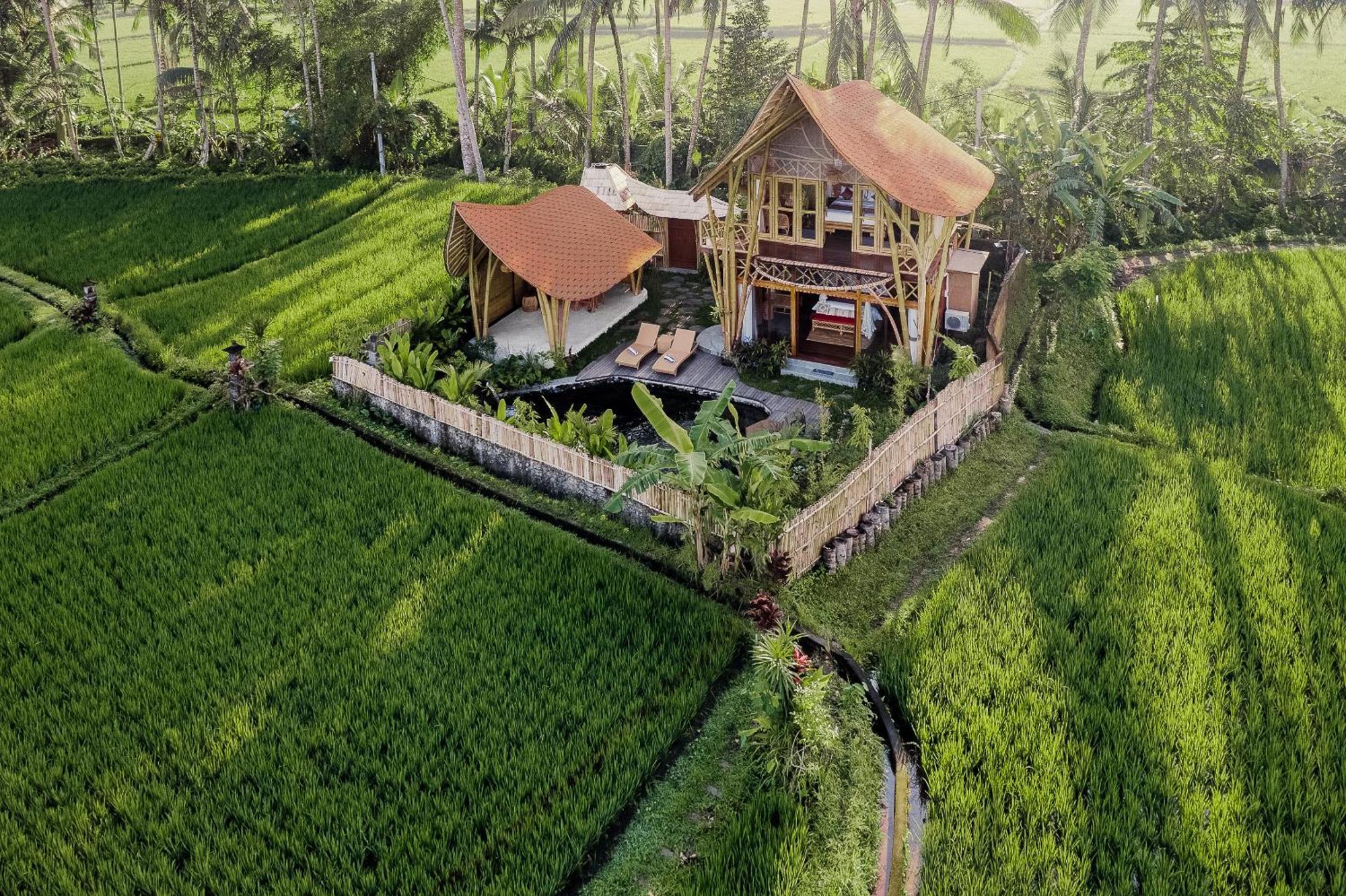 Arapan Ubud Eco Villa Bagian luar foto